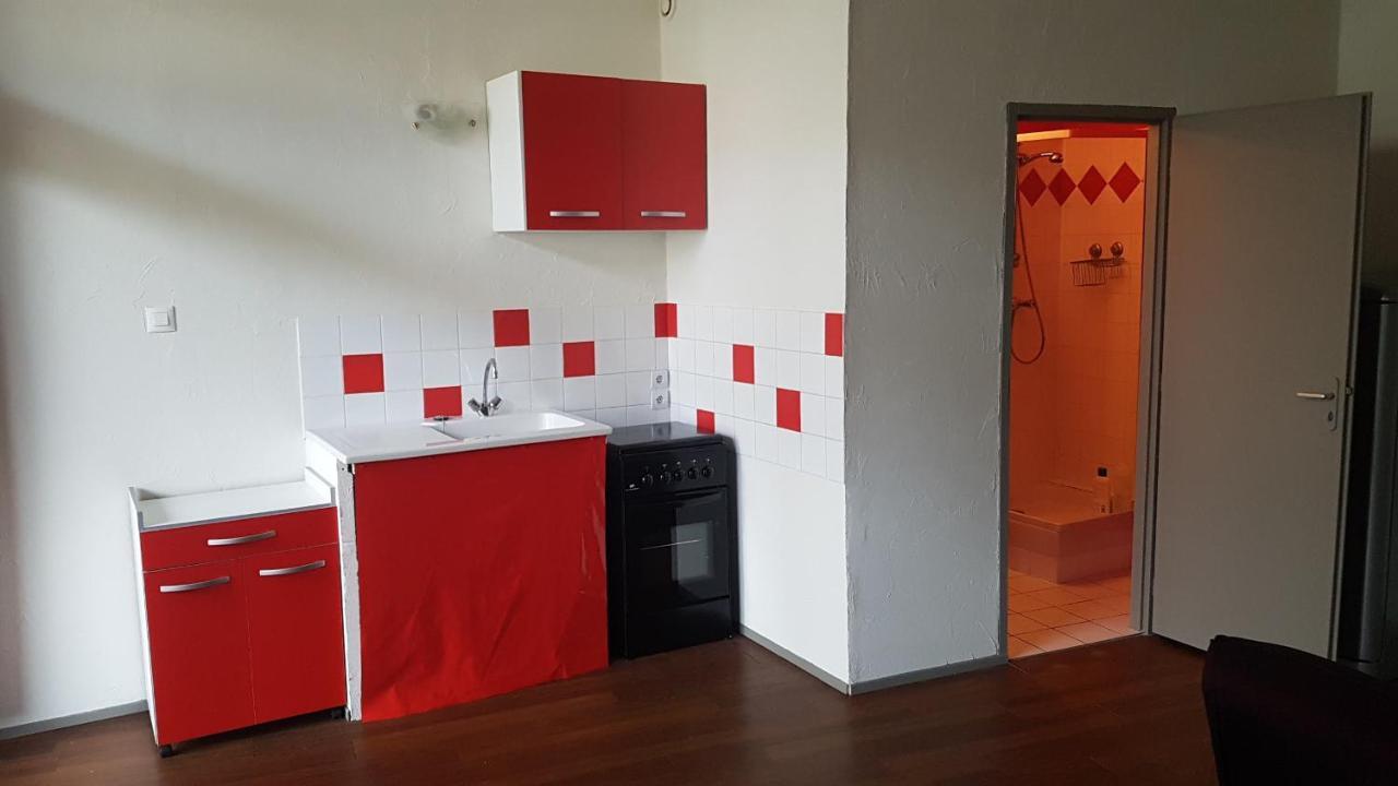 Grand Studio Et Jolies Chambres A Louer Passins 외부 사진